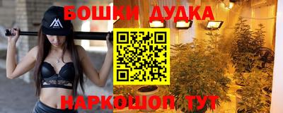 скорость Новодвинск