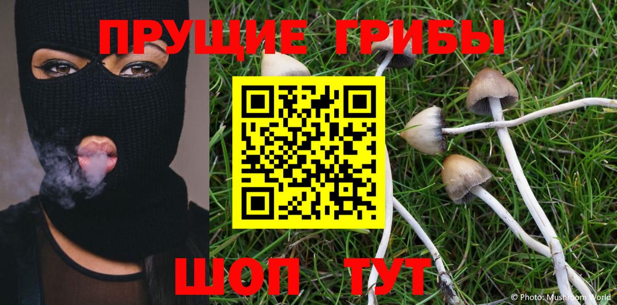 Холмск  Галлюциногенные грибы Magic Shrooms  цена   Псилоцибиновые грибы MAGIC MUSHROOMS  Вход с VPN 